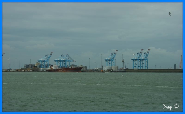 haven zeebrugge (42)