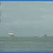 haven zeebrugge (45)