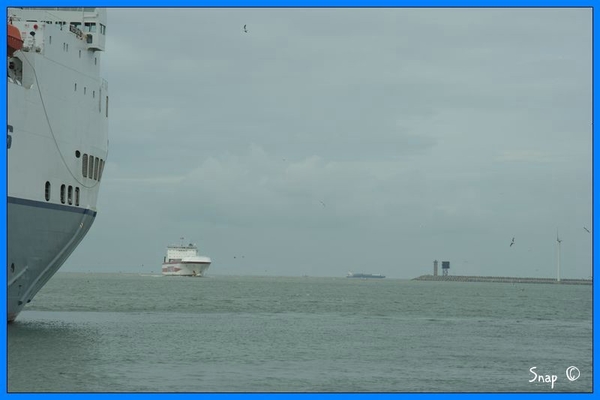 haven zeebrugge (45)