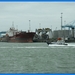 haven zeebrugge (54)