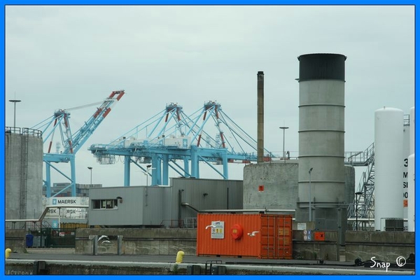 haven zeebrugge (56)