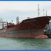 haven zeebrugge (58)