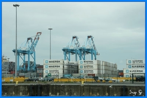 haven zeebrugge (62)