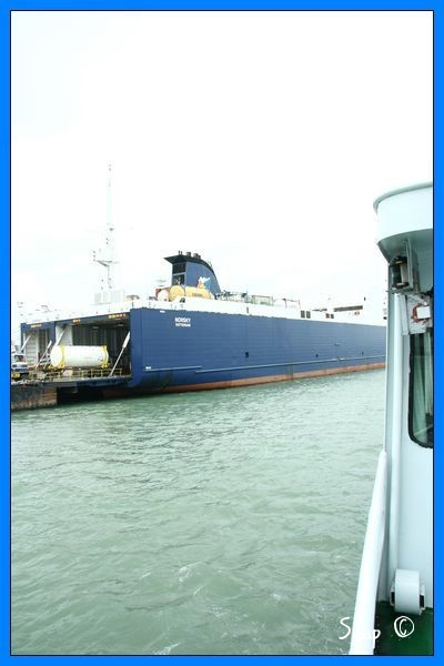 haven zeebrugge (66)