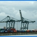 haven zeebrugge (72)