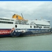 haven zeebrugge (76)