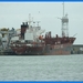 haven zeebrugge (81)