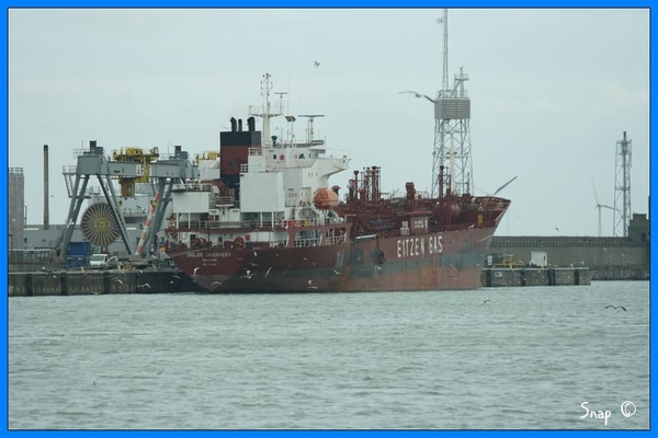 haven zeebrugge (81)