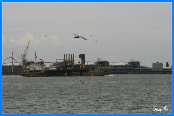 haven zeebrugge (87)