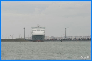 haven zeebrugge (88)