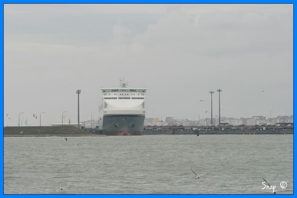 haven zeebrugge (88)