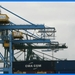 haven zeebrugge (90)