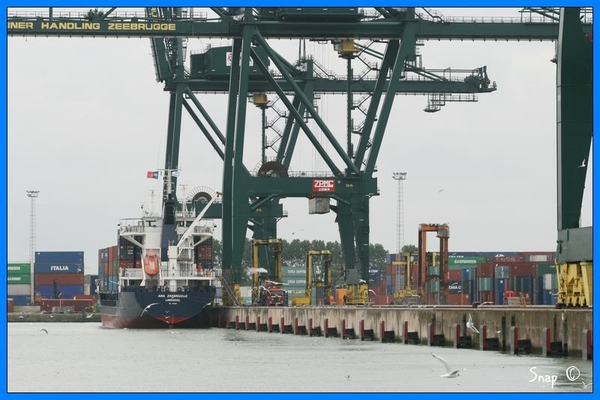 haven zeebrugge (96)