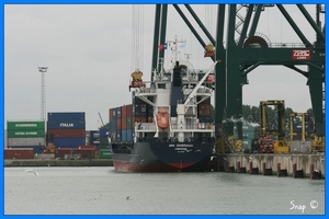 haven zeebrugge (98)