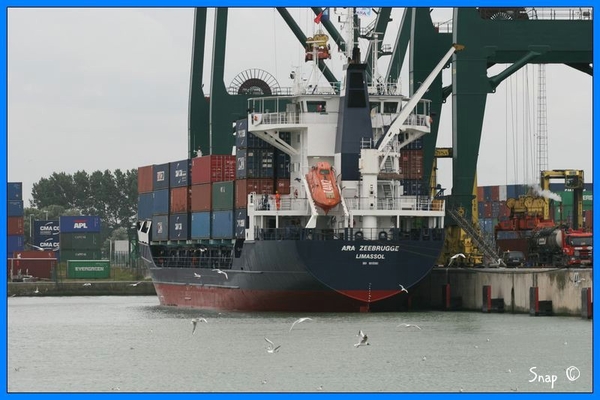 haven zeebrugge (100)