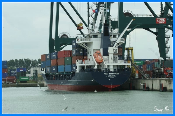 haven zeebrugge (102)