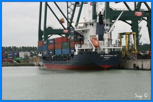 haven zeebrugge (103)