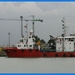 haven zeebrugge (106)