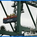 haven zeebrugge (108)