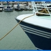 haven zeebrugge (120)