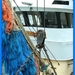haven zeebrugge (121)
