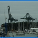 haven zeebrugge (123)