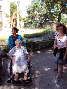 Afbeelding 016