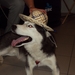DSC00037