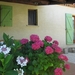 Castelnau 28.6.07 (32)