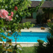 terras oleander