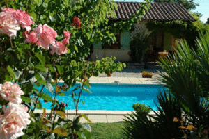 terras oleander