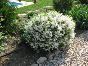Photo 006