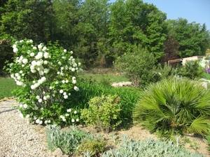Photo 008