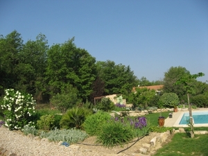 Photo 009