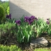 Photo 012