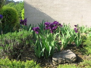 Photo 012