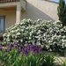 Photo 015