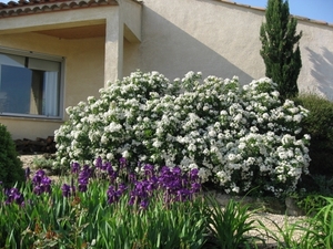 Photo 015