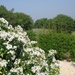Photo 018
