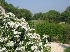 Photo 018