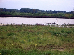 15-Wintam, het noordeiland (natuurreservaat)