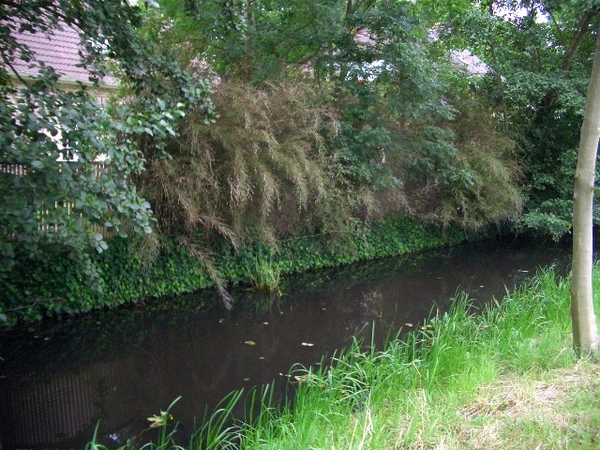 47-villa's aan het water (Bazel)