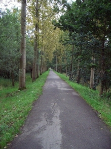 59-de wandeldijk (Bazel)