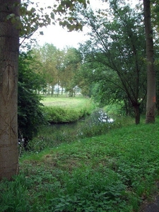 60-de wandeldijk