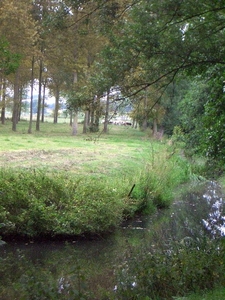 61-wandeldijk Bazel