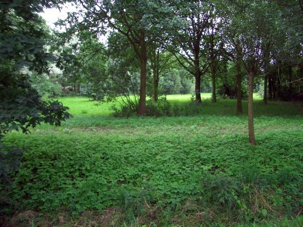 94- wandelweg Schelle