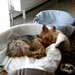 prutske.julie 003