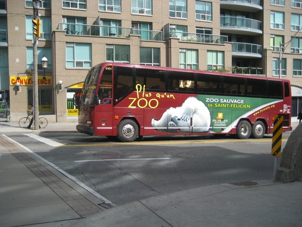 Onze bus met de afbeelding van de ijsbeer.
