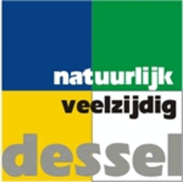 Logo Dessel 01