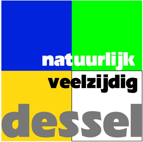 Logo Dessel 02